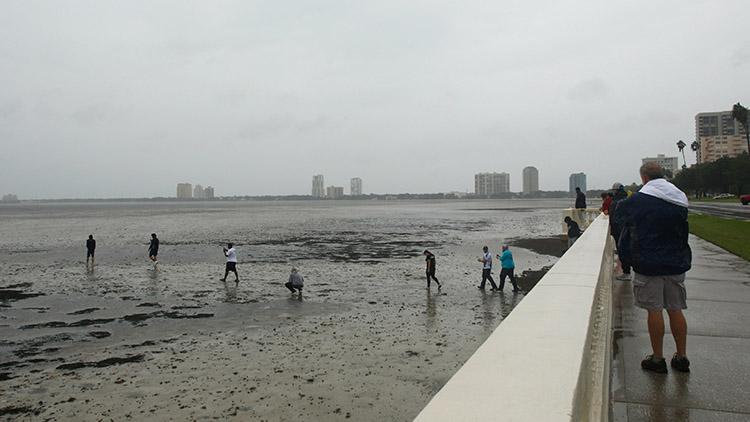 people on beach as ocean water has receded