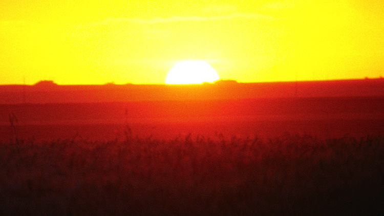 orange and yellow sunset