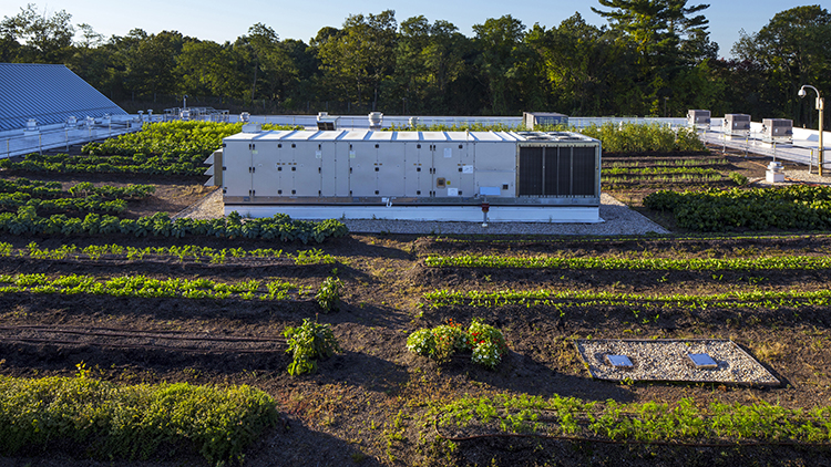 generator in an urban rooftop garden