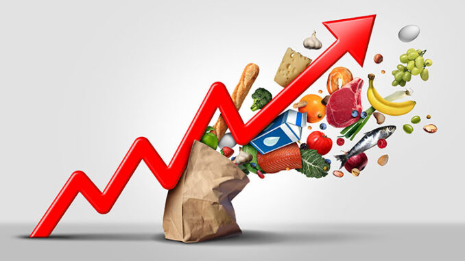 graph shows rising cost of groceries