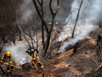 firefighters clearing a burnt field