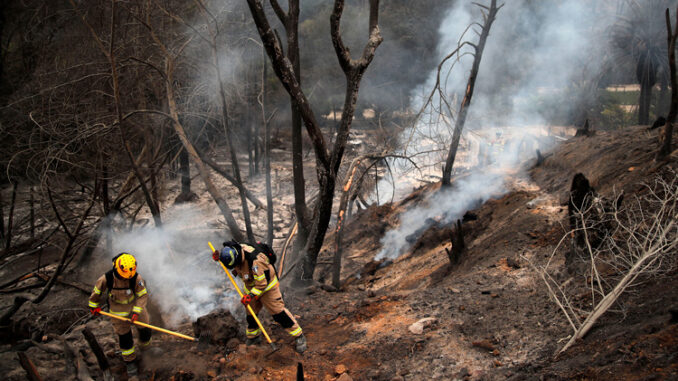 firefighters clearing a burnt field