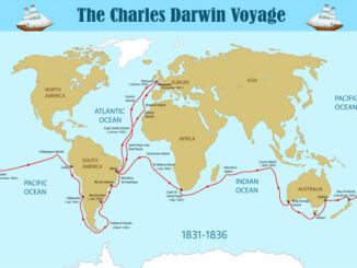 A map of Charles Darwin’s voyage on the HMS Beagle.