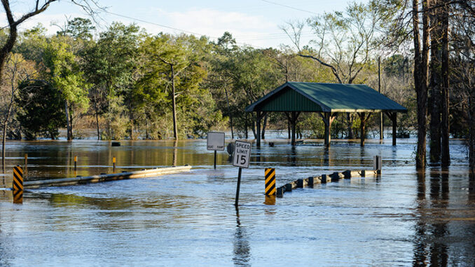 Las fuertes lluvias desbordaron el río Choctawhatchee en Ebro, Florida, y dejaron este puente y esta carretera bajo el agua.