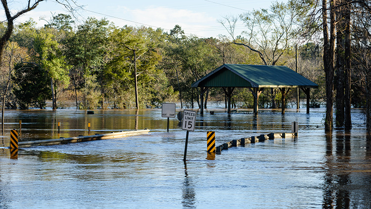 Las fuertes lluvias desbordaron el río Choctawhatchee en Ebro, Florida, y dejaron este puente y esta carretera bajo el agua.